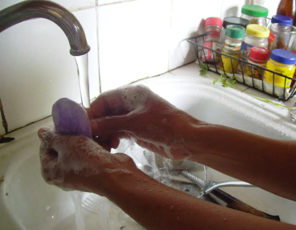 best kitchen hand soaps 2026